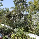 Jungle Paradise *