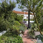 Jungle Paradise *