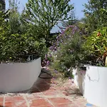 Apartman Jungle Paradise