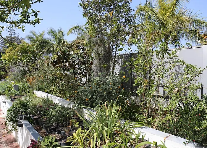Jungle Paradise *