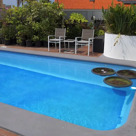 Jungle Paradise Apartamento